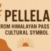 pellela