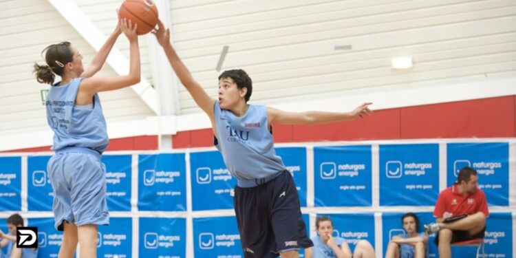 zuyomernon system basketball