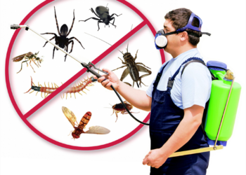What Is Residential Pest Control and Why Is It Important?