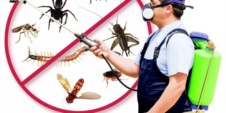 What Is Residential Pest Control and Why Is It Important?