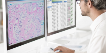 Digital Tools Enhancing Efficiency in Preclinical Studies