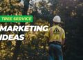 Tree Service Marketing Trends for Local Businesses in Florida