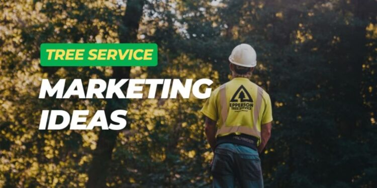 Tree Service Marketing Trends for Local Businesses in Florida