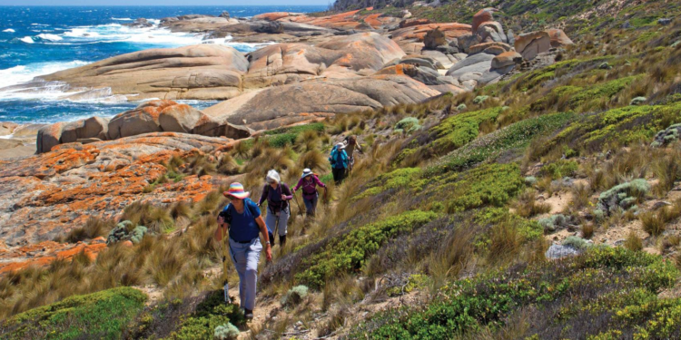 Discover the Untouched Beauty of Flinders Island: Your Ultimate Guide
