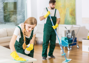Trusted Professional House Cleaners for Homes and Apartments Today