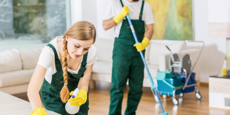 Trusted Professional House Cleaners for Homes and Apartments Today