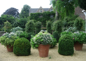 Enhance Your Outdoor Space with Large Garden Terracotta Pots