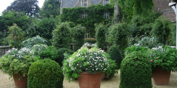 Enhance Your Outdoor Space with Large Garden Terracotta Pots