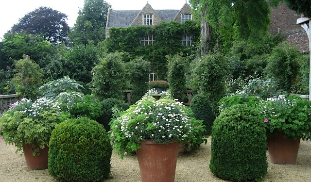 Enhance Your Outdoor Space with Large Garden Terracotta Pots