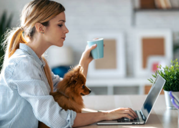 What Are the Key Differences Between Manual and Automated Content Optimization