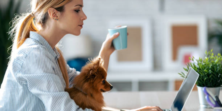 What Are the Key Differences Between Manual and Automated Content Optimization