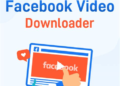 Download Videos in Seconds: Best Facebook Video Downloader Online Guide