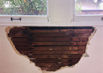 Understanding Dry Rot and Methods for Repair