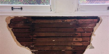 Understanding Dry Rot and Methods for Repair
