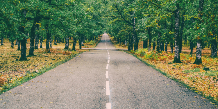 Accident Law: Everything a Motorist Should Know