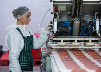 The Role of Advanced Food Processing Equipment in Modern Manufacturing