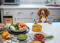 What Happens to Pet Food Ingredients Between the Farm and the Bag — and Should Pet Owners Care?