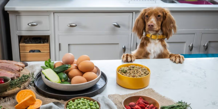 What Happens to Pet Food Ingredients Between the Farm and the Bag — and Should Pet Owners Care?