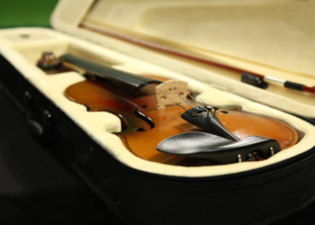 The Essential Guide to Violin Cases: Protecting Your Most Valued Instrument