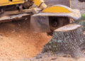 Unlock Your Yard's Full Potential With Professional Stump Removal