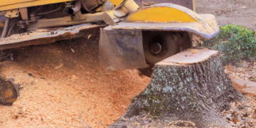 Unlock Your Yard's Full Potential With Professional Stump Removal