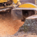 Unlock Your Yard's Full Potential With Professional Stump Removal