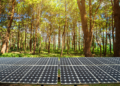 What You Need to Know About Solar Panel Recycling