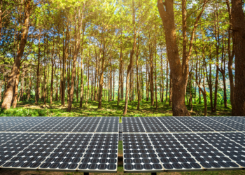 What You Need to Know About Solar Panel Recycling