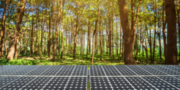 What You Need to Know About Solar Panel Recycling