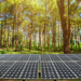 What You Need to Know About Solar Panel Recycling