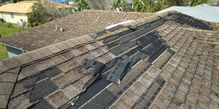 Complete Guide to Protecting Your Property from Roof Damage