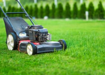 UK Areas With the Worst Lawn Conditions