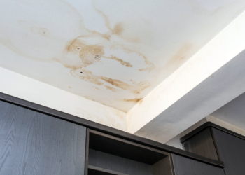 The Silent Drip: What That Spot on Your Ceiling Really Means for Your Home