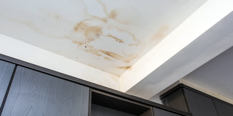 The Silent Drip: What That Spot on Your Ceiling Really Means for Your Home