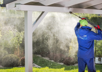 The True Value of Blue River Power Washing for Your Property