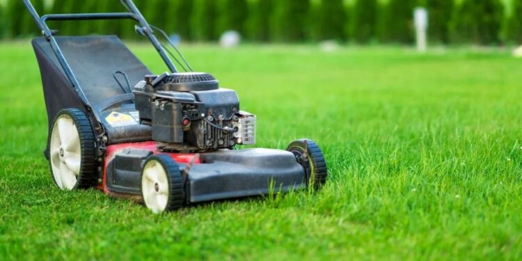 UK Areas With the Worst Lawn Conditions