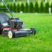 UK Areas With the Worst Lawn Conditions