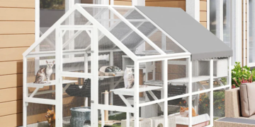 Outdoor Catios: A Technical Overview of Safe Enclosed Space for Cats