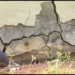 Understanding Cracked Foundations and Their Impact on Home Stability