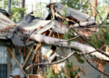 Recovering Stronger After Severe Weather: A Complete Guide to Storm Damage Restoration