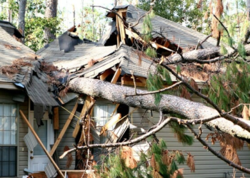 Recovering Stronger After Severe Weather: A Complete Guide to Storm Damage Restoration