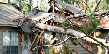 Recovering Stronger After Severe Weather: A Complete Guide to Storm Damage Restoration