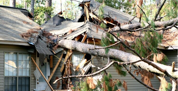 Recovering Stronger After Severe Weather: A Complete Guide to Storm Damage Restoration