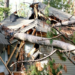 Recovering Stronger After Severe Weather: A Complete Guide to Storm Damage Restoration