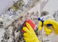 Silent Invader: A Complete and Practical Guide to Mold Removal and Long-Term Prevention