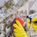 Silent Invader: A Complete and Practical Guide to Mold Removal and Long-Term Prevention