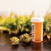 How New Jersey's Medical Marijuana Card Program Is Expanding Patient Access