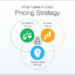 Turning Pricing Data Into Actionable Insights: A Strategic Overview of PriceShape